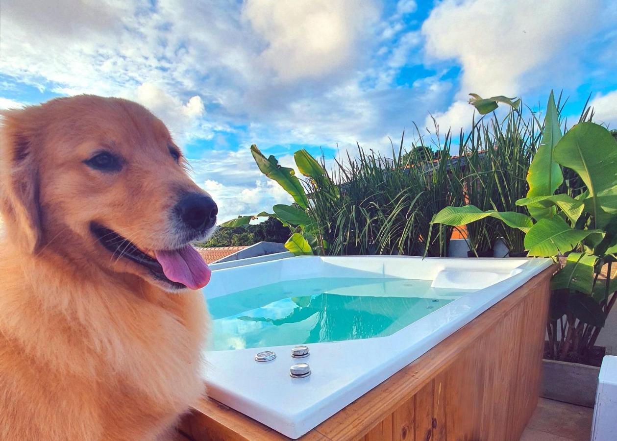 Vila Pitangueira - Apto Laranja - No Centro De Serra Grande Com Piscina, Jacuzzi, Internet Veloz Ngoại thất bức ảnh